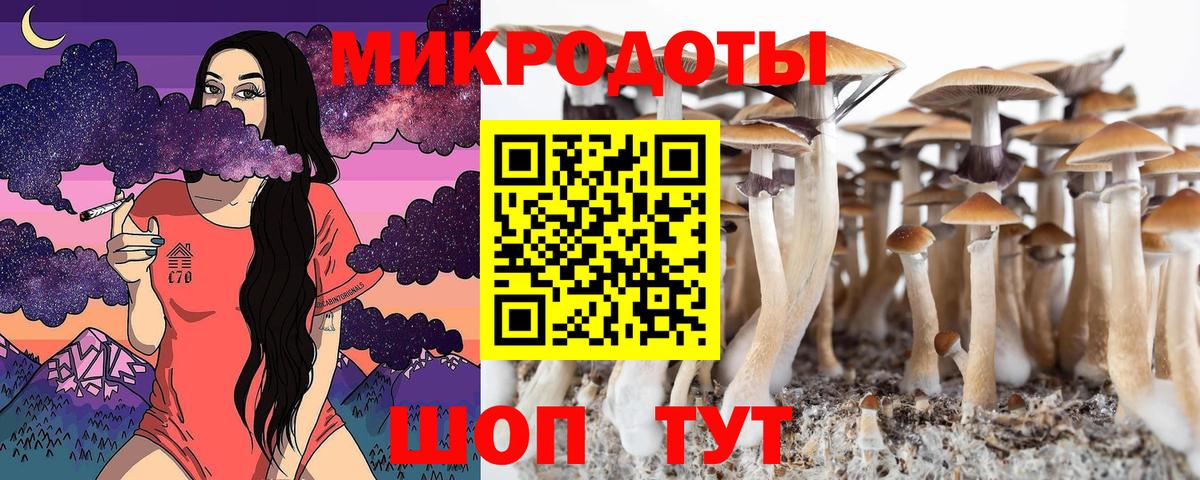 Псилоцибиновые грибы Magic Shrooms  Вход с VPN  Псилоцибиновые грибы Cubensis  закладка  Заволжье 