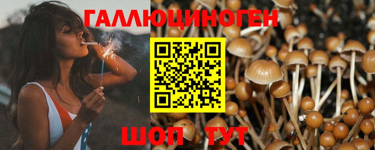 Галлюциногенные грибы MAGIC MUSHROOMS Заволжье